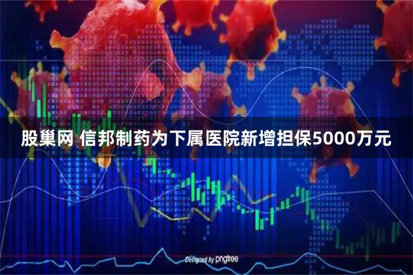 股巢网 信邦制药为下属医院新增担保5000万元