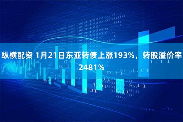 纵横配资 1月21日东亚转债上涨193%，转股溢价率2481%